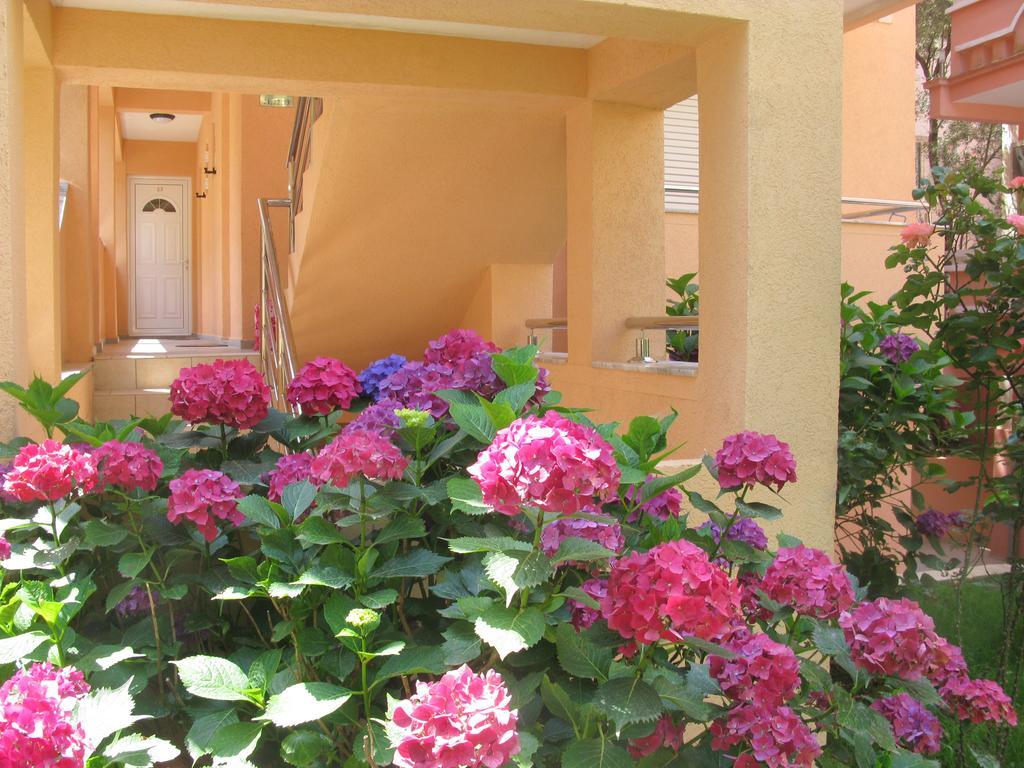 Garni Hotel Koral Μπούντβα Εξωτερικό φωτογραφία