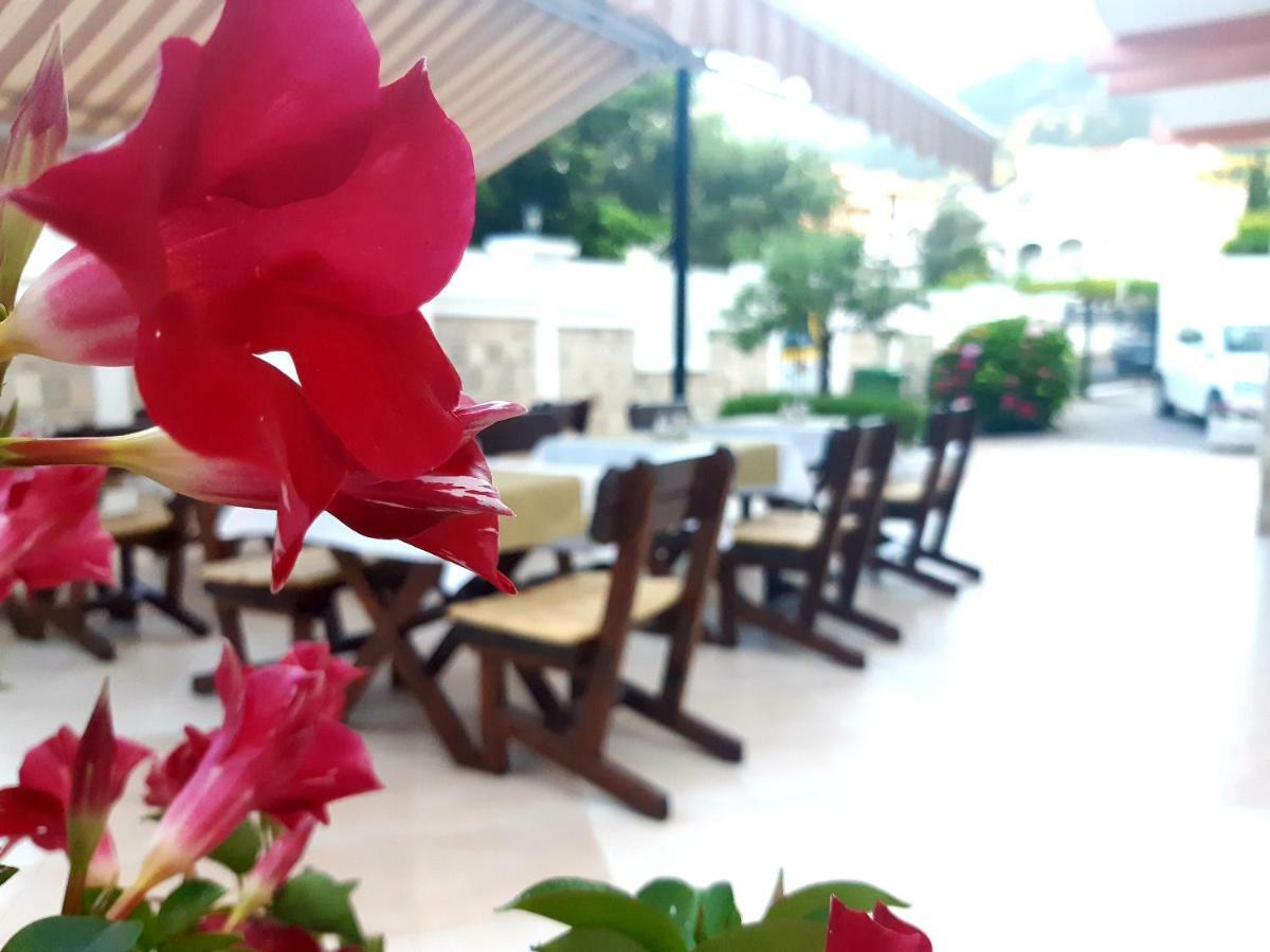 Garni Hotel Koral Μπούντβα Εξωτερικό φωτογραφία